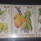 S.Tome E PRINCIPE 1981 fructe exotice,3v,MNH,NESTAMPILATA