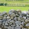 Coenobium, 64: Reflections on Monastic Community