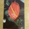 C9 3 - 1977 - Calendar de buzunar - reclama Editura Ceres