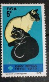 Africa de Sud 1972 pisici, fauna pisici de rasa serie 1v neștampilat