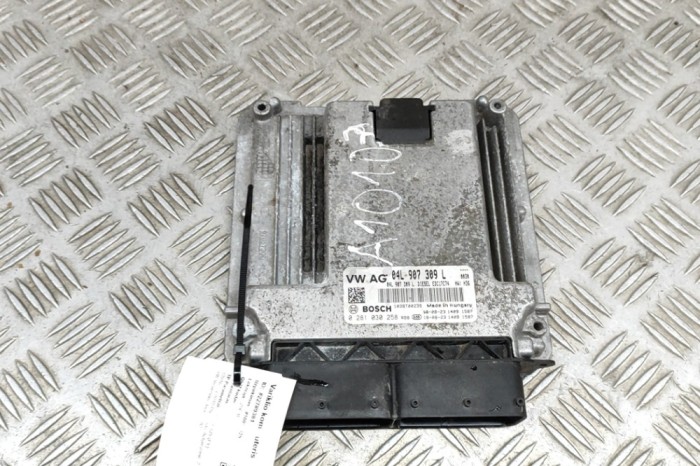Unitate de control motor AUDI Q5 FY 2019 OEM: 04L907309L,0281030258,1039T00235 22789381