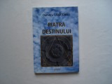 Piatra destinului - Dumitru Fanateanu