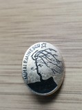 Cumpara ieftin Insigna Mihai Eminescu