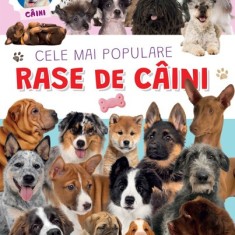 Cele mai populare rase de caini