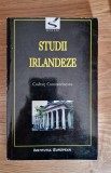 STUDII IRLANDEZE - Codrut Constantinescu