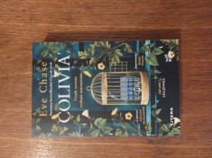 Colivia - Eve Chase foto