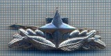 AX 778 INSIGNA - SEMN DE ARMA SRI - PENTRU COLECTIONARI