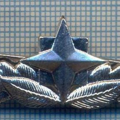 AX 778 INSIGNA - SEMN DE ARMA SRI - PENTRU COLECTIONARI