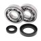 Set rulmenti ambielaj Honda CR 250 92- 07 Allballs 24-1030