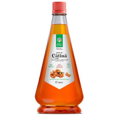 Sirop catina 520ml santo raphael foto