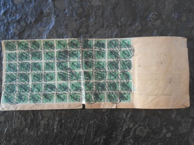 Plic deosebit circulat Germania 1923, francatura deosebita, foto