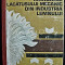 Manualul Lacatusului Mecanic Din Industria Lemnului - Stefan Ioan
