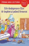 Cele douasprezece fiice de imparat si palatul fermecat. Prima mea lectura - Editura Litera