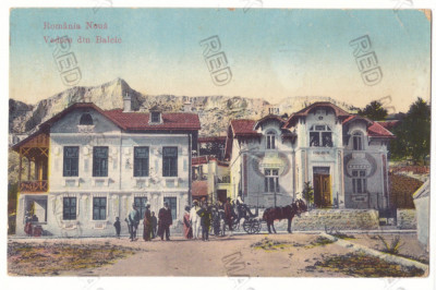 3116 - BALCIC, Dobrogea, Romania - old postcard - used - 1914 foto