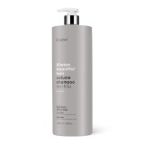 Sampon pentru volum ABH Volume No-Frizz, 1000ml, Erayba