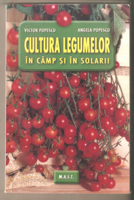 Cultura Legumelor in camp si solarii-Victor Popescu foto