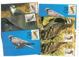 Bophuthatswana 1989 - Păsări, set 6 maxime