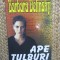 Barbara Delinsky - Ape tulburi