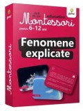 Cumpara ieftin Montessori. Fenomene explicate/***