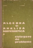 ALGEBRA SI ANALIZA MATEMATICA CULEGERE DE PROBLEME VOL.1-NICOLAE DONCIU, DUMITRU FLONDOR-338269