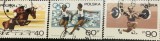 Timbre - Polonia Polska - >50 - Tematica Sport JO