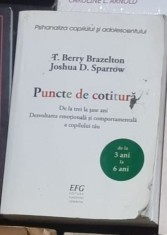 T. Berry Brazelton, Joshua D. Sparrow - Puncte de Cotitura - De la Trei Ani, Dezvoltarea Emotionala si Comportamentala a Copilului Tau foto
