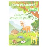 Animale din savana si padure - Carte de colorat cu abtibilduri