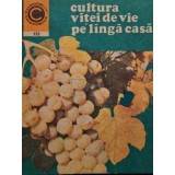 Avram D. Tudosie - Cultura vitei de vie pe langa casa (Editia: 1981)
