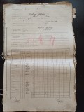 NI881 Volum de 162 foi matricole școlare, anul școlar 1918-1919, Rovinița Mare, județul Timiș