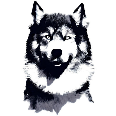 Sticker decorativ Caine Husky, Negru, 90 cm, 8143ST foto