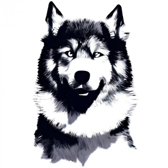 Sticker decorativ Caine Husky, Negru, 90 cm, 8143ST