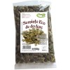 SEMINTE DE DOVLEAC-(BIO) 100GR