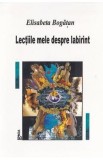 Carte Lectiile mele despre labirint - Elisabeta Bogatan (Beletristica, Roman)