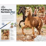 Pictura pe numere master Cal in galop, Jad
