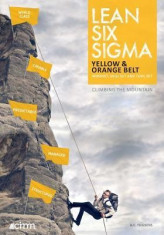 Lean Six SIGMA Yellow &amp;amp; Orange Belt: Mindset, Skill Set and Tool Set foto