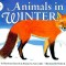 Animals in Winter