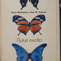 Fluturi exotici – Elena Barbulescu, Ioan M. Stanoiu, 1979, 170 pag, cartonata