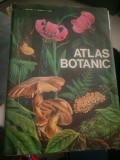 L. Popovici, C. Moruzi, I. Toma - Atlas botanic Editura didactică și pedagogică