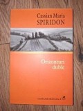 Orizonturi duble: Atitudini literare - Cassian Maria Spiridon