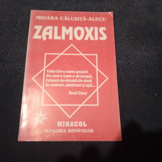 MIOARA CALUSITA ALECU - ZALMOXIS
