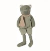 Papusa Plus Broscoi Jeremy Egmont Toys, 30 cm, Verde, +3 Luni, Textil, Bumbac, Baieti/Fete, Cu Clopotel