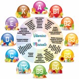 Sticker scoli, Vitamine - 125x125 cm