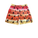 Pantaloni scurti de baie, marimea 5-6 ani , culoarea galben cu portocaliu