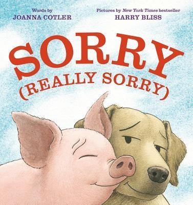 Sorry (Really Sorry) foto