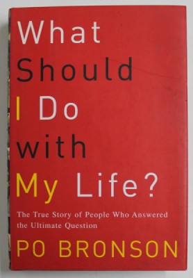 WHAT SHOULD I DO WITH MY LIFE ? by PO BRONSON , 2003 foto