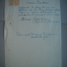 HOPCT DOCUMENT VECHI NR 450 GRUNBERG BINCA-EVREU-SCOALA NR 3 FETE BOTOSANI 1948