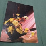 Cumpara ieftin CARTE POSTALA - FELICITARE CIRCULATA
