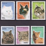 Serie completă de 6 timbre tematice &bdquo;Rase de Pisici&rdquo; &ndash; Republica Congo &ndash; 1996