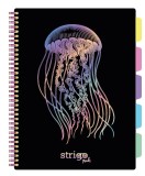 Caiet cu Spirala si Separatoare Strigo Pads Project Book MEDUZA A4, Matematica, Negru