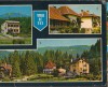CPIB 15414 - CARTE POSTALA - TIMISUL DE SUS, MOZAIC, Circulata, Fotografie